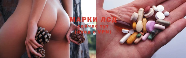 дживик Каменка