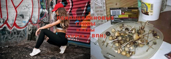 гашик Киренск