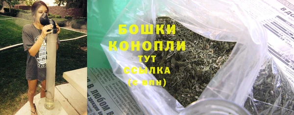 дживик Каменка
